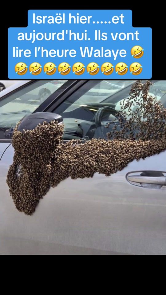TikTok video thumbnail by elhbilly