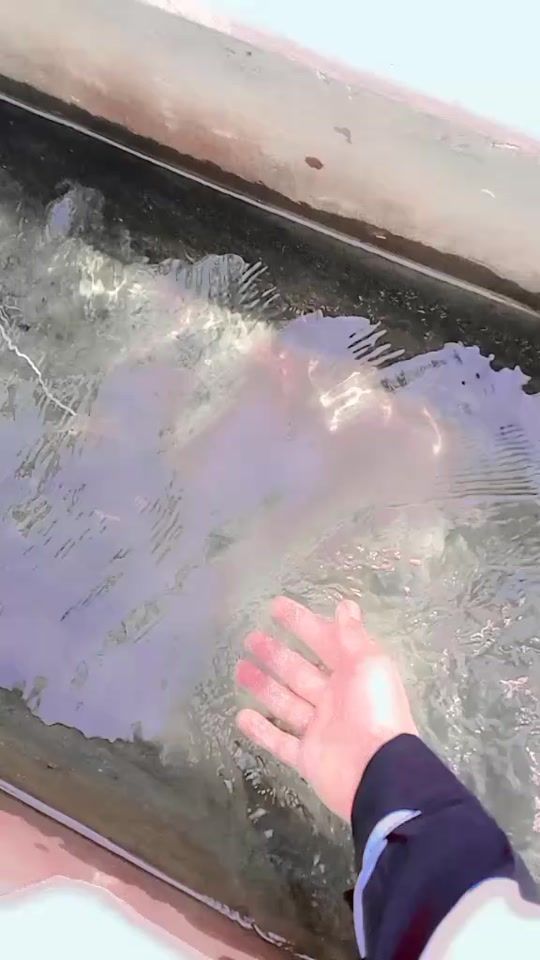 TikTok video thumbnail by jindbabajindbaba