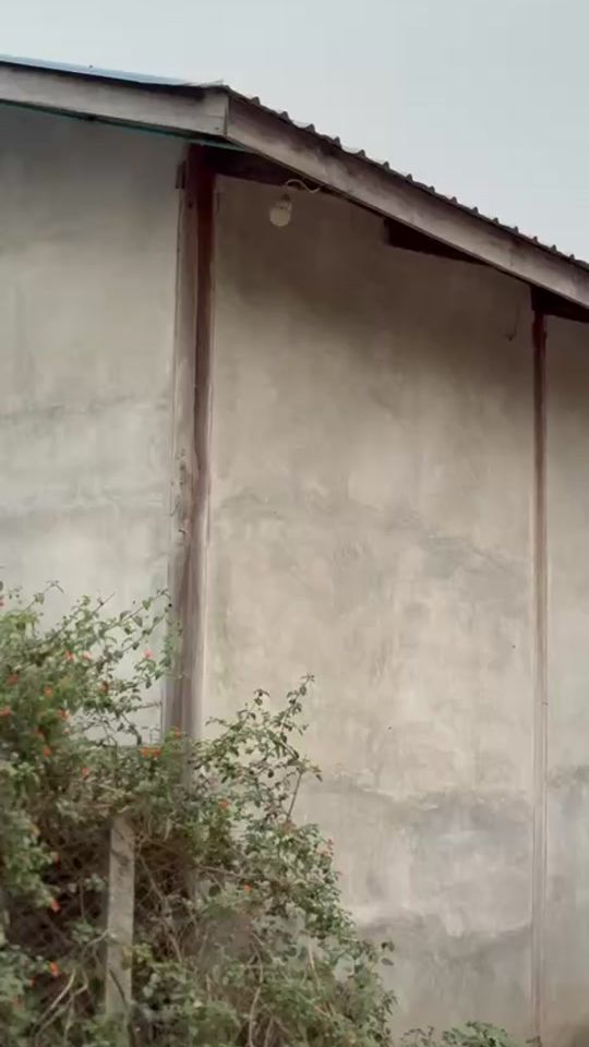 TikTok video thumbnail by airdi5293