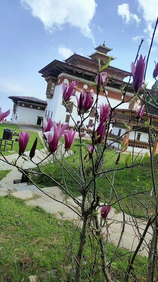 TikTok video thumbnail by khanrebjamtsho