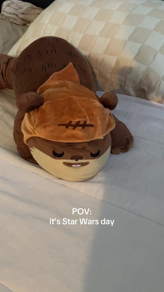 TikTok video thumbnail by _becca.anne
