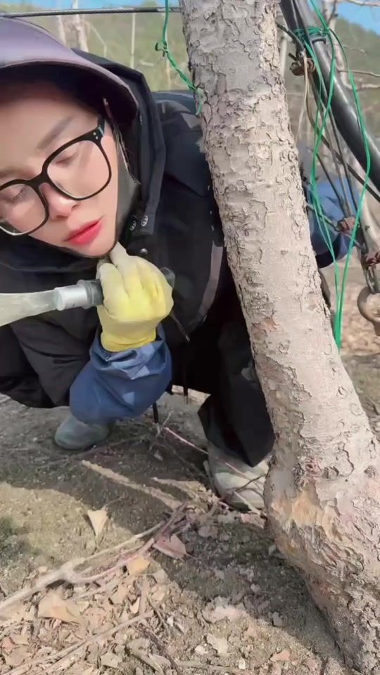 TikTok video thumbnail by tree1015