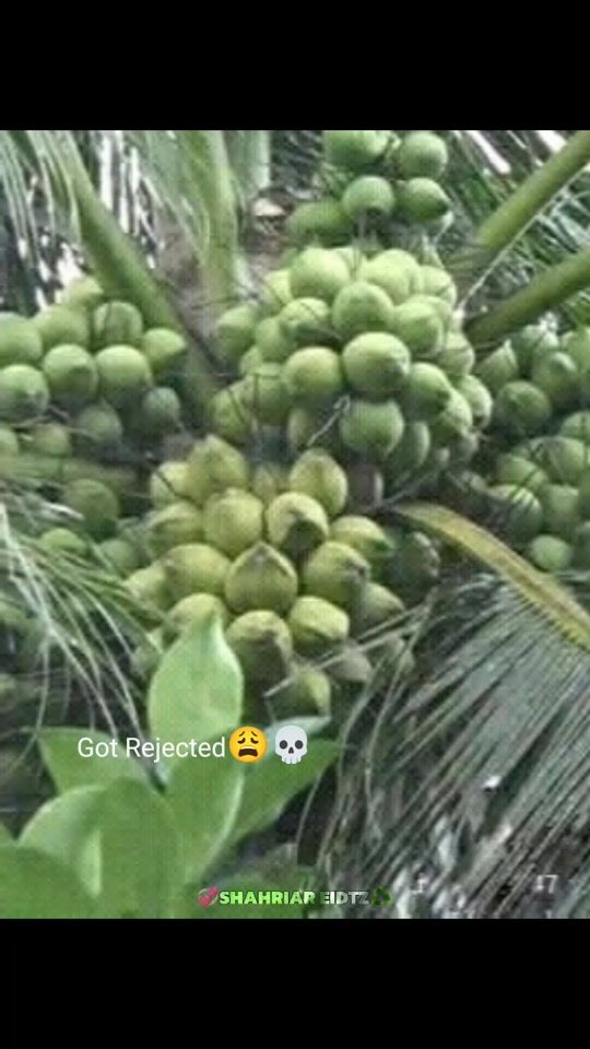 TikTok video thumbnail by ..sohan.khan