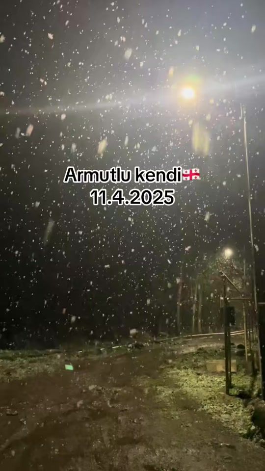 TikTok video thumbnail by dmanisi111