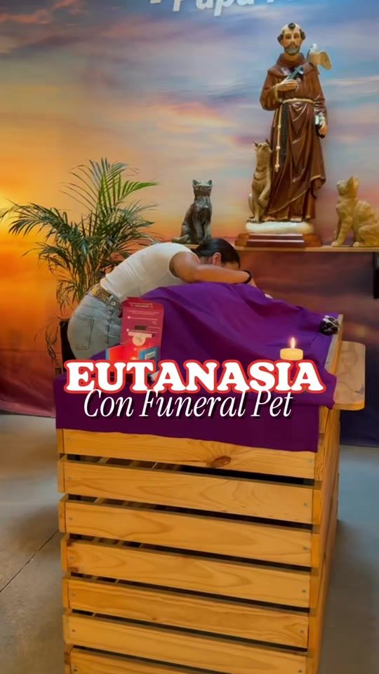 TikTok video thumbnail by funeralpetcol