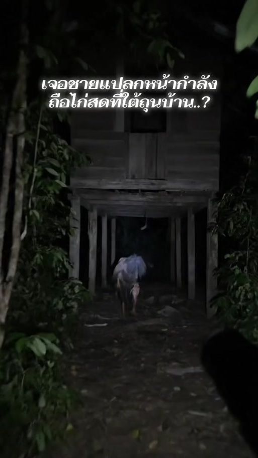 TikTok video thumbnail by ghost.com99