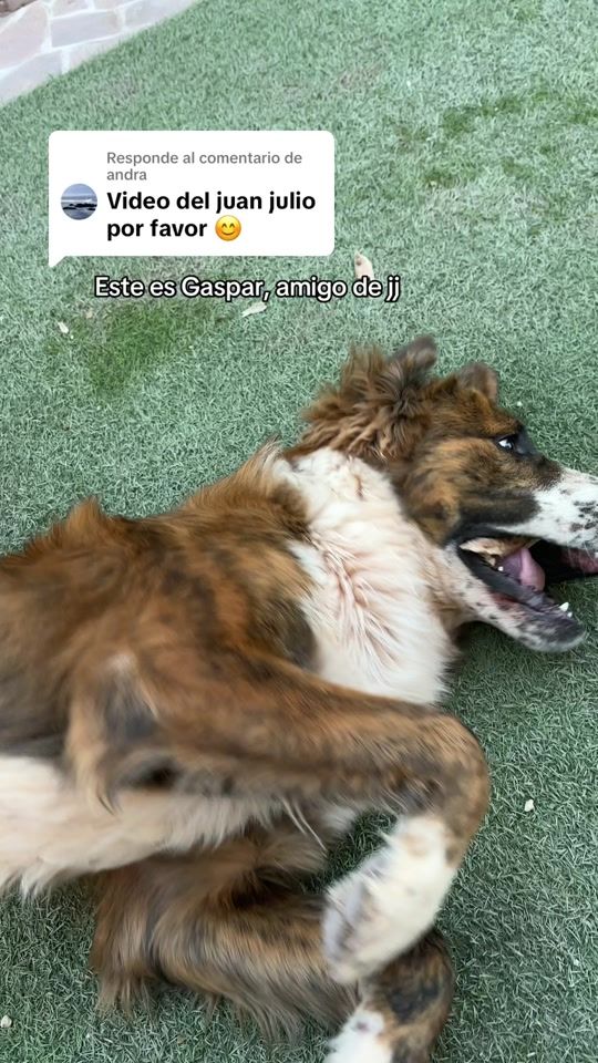 TikTok video thumbnail by maaardiless
