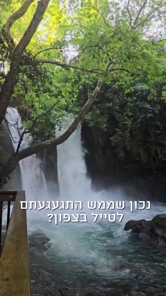 TikTok video thumbnail by parks_il
