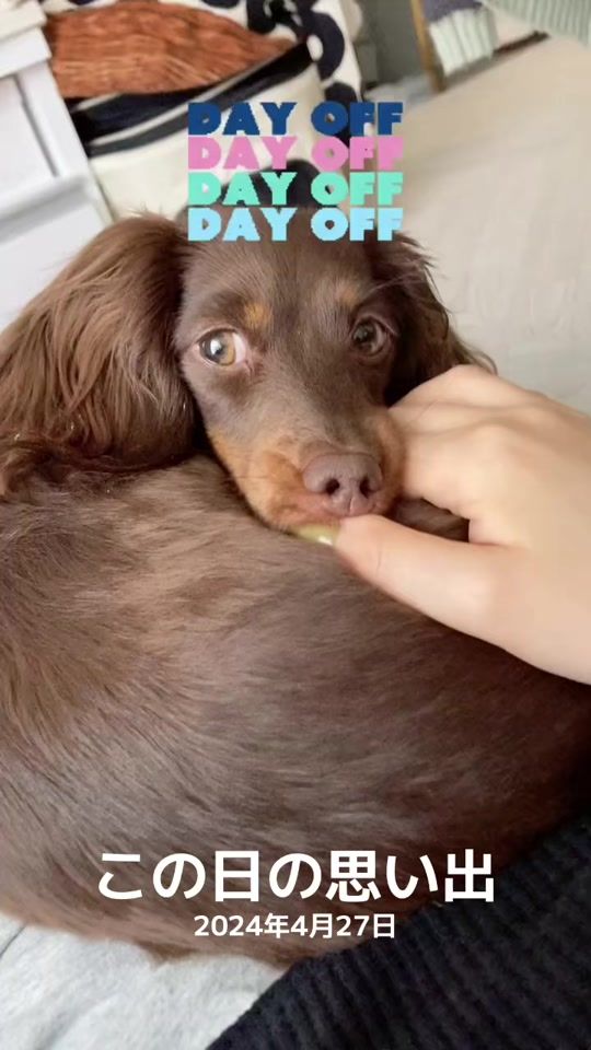 TikTok video thumbnail by nelupiyo