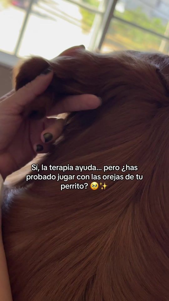TikTok video thumbnail by nuggetdagolden