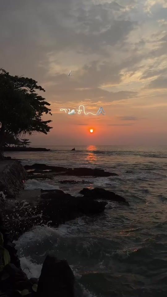 TikTok video thumbnail by stsc_03