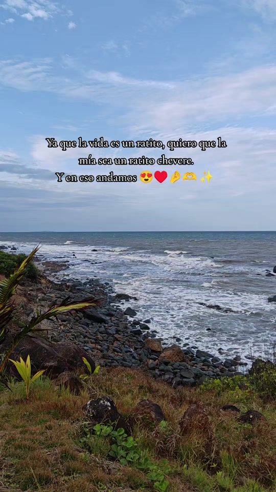 TikTok video thumbnail by carolroca22