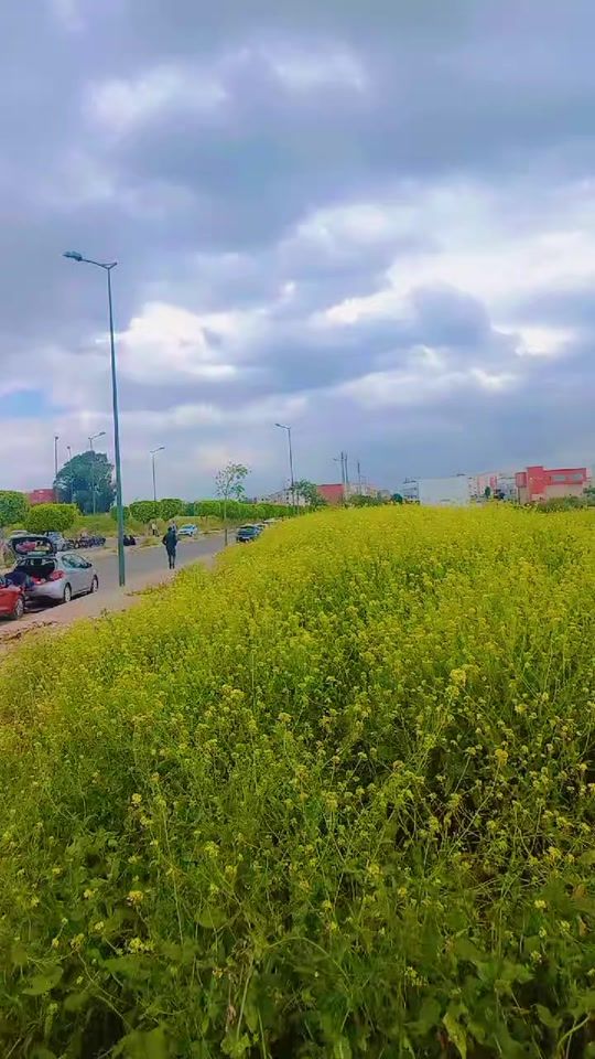 TikTok video thumbnail by iman_chinwya2