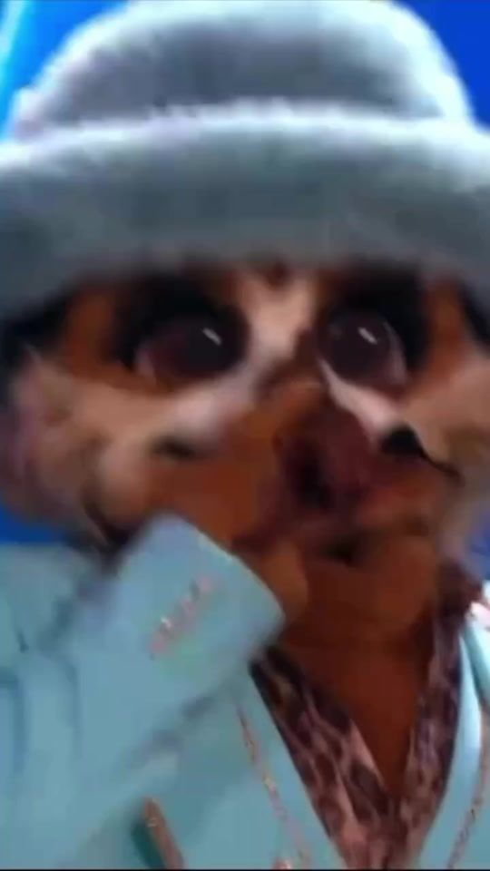 TikTok video thumbnail by socratofficial