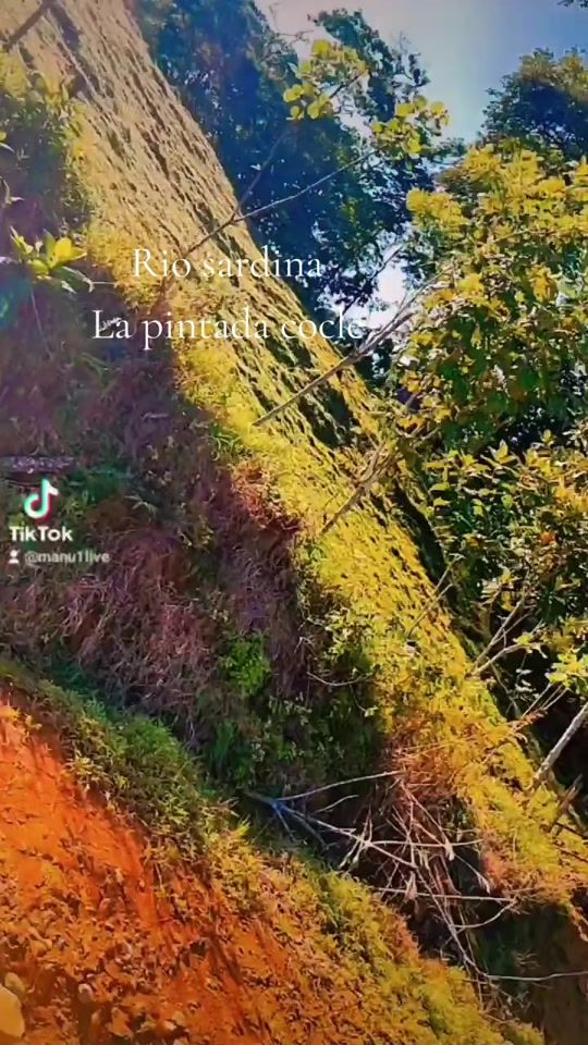 TikTok video thumbnail by manu1live