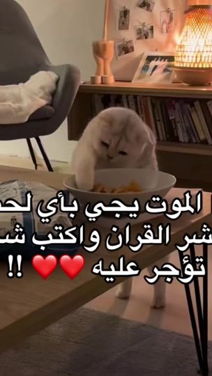 TikTok video thumbnail by saq.i9