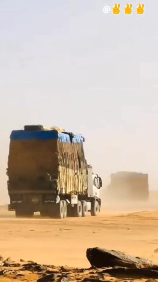 TikTok video thumbnail by comwadifira5