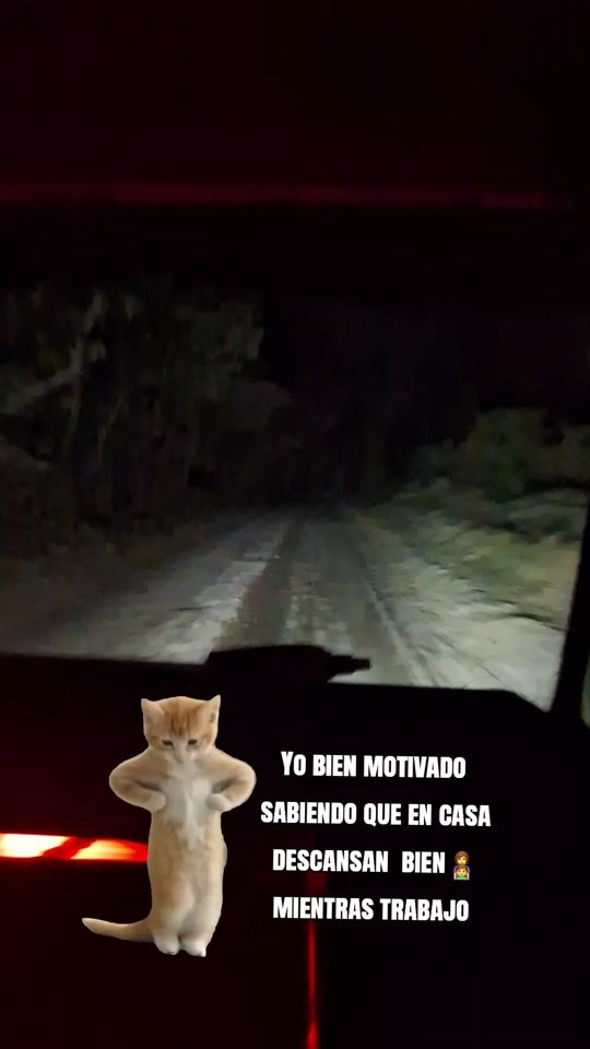 TikTok video thumbnail by kevin_502_gt