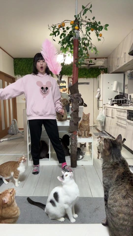 TikTok video thumbnail by mofumofu.tv