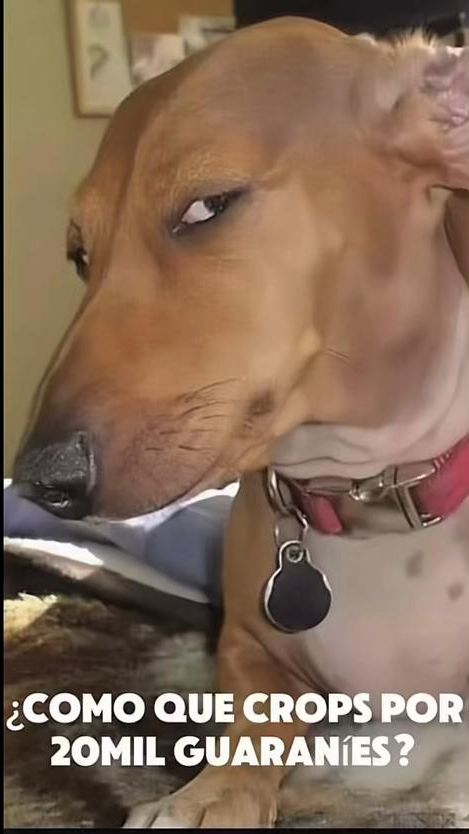 TikTok video thumbnail by almicherry