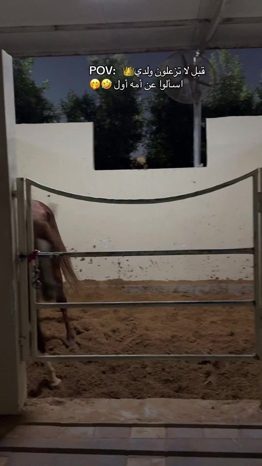 TikTok video thumbnail by oumsultan9