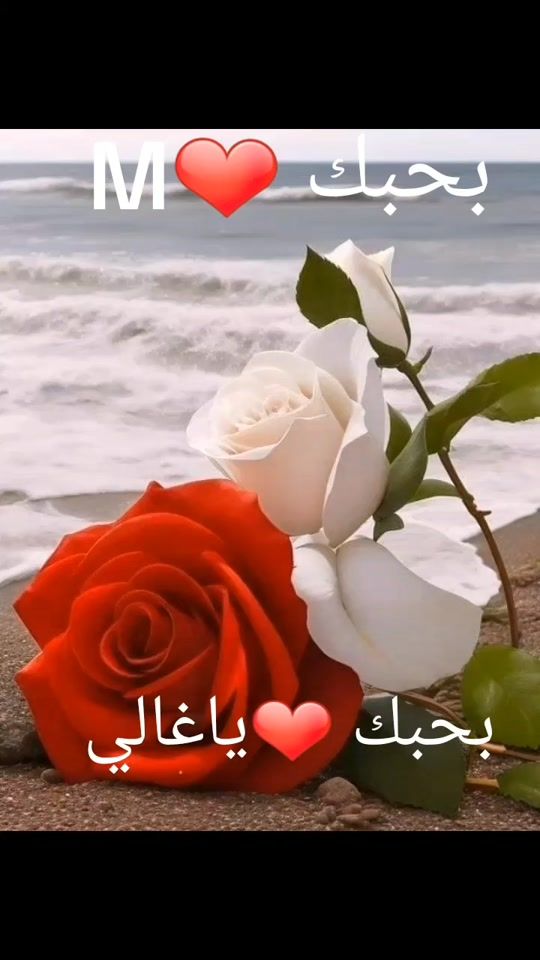TikTok video thumbnail by haesam45