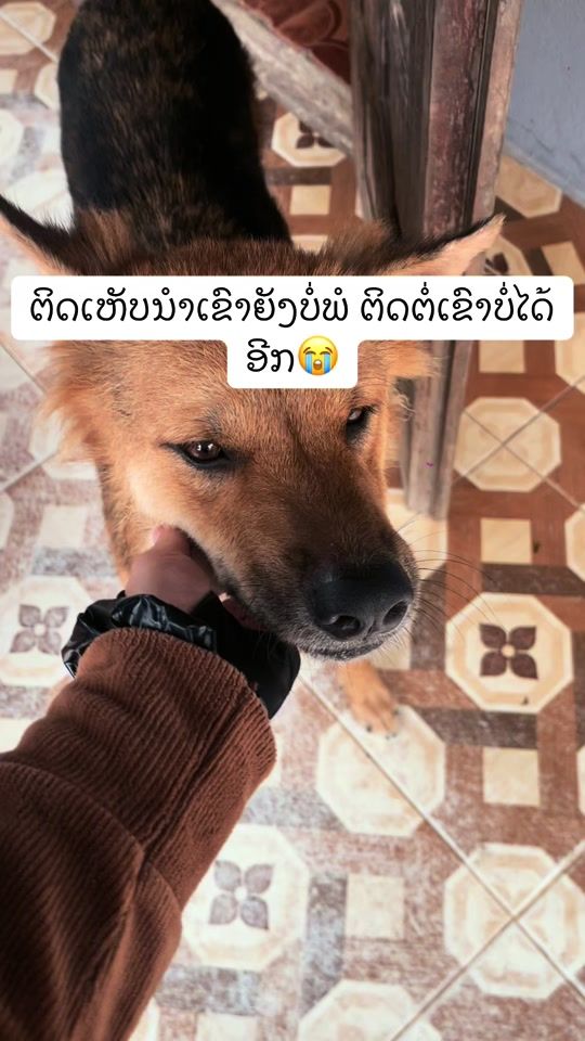 TikTok video thumbnail by anny67896