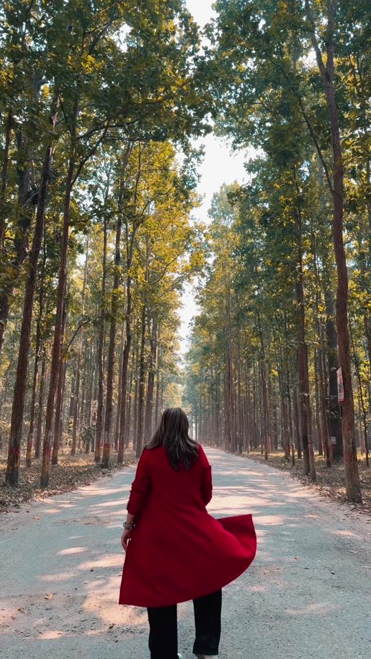 TikTok video thumbnail by ray_giri