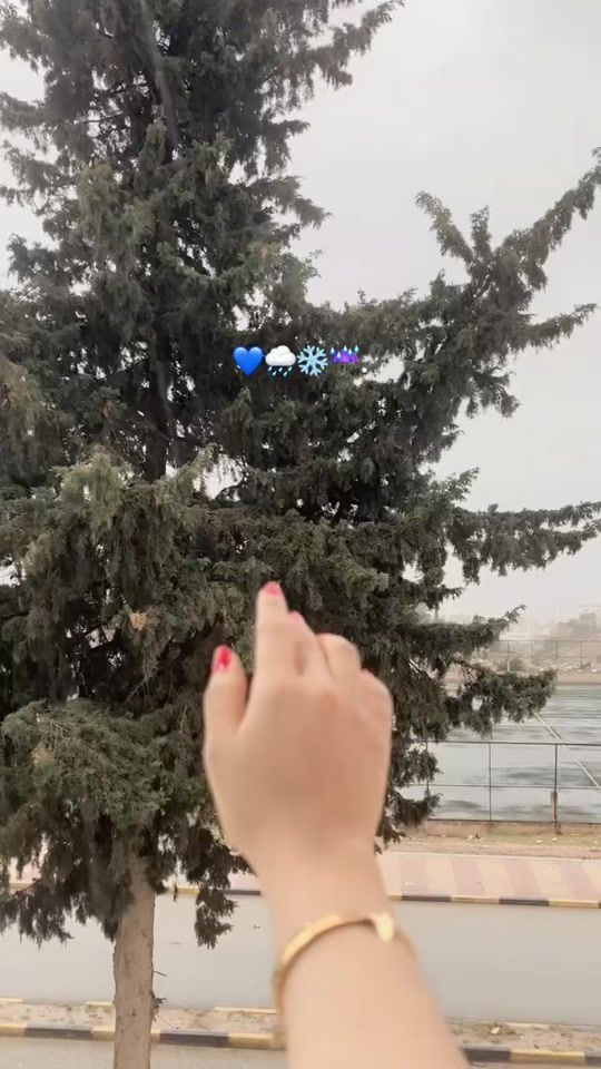 TikTok video thumbnail by somayasalah