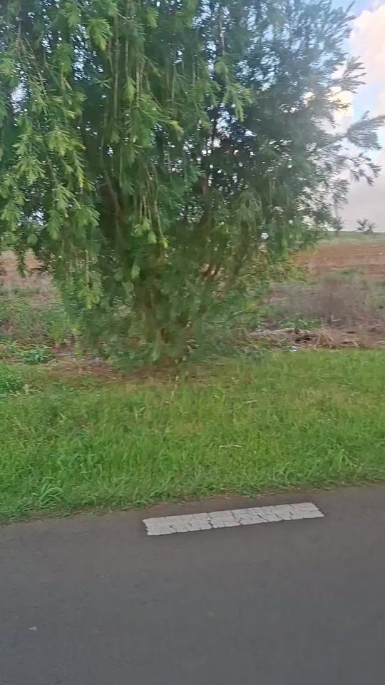 TikTok video thumbnail by .vimesh