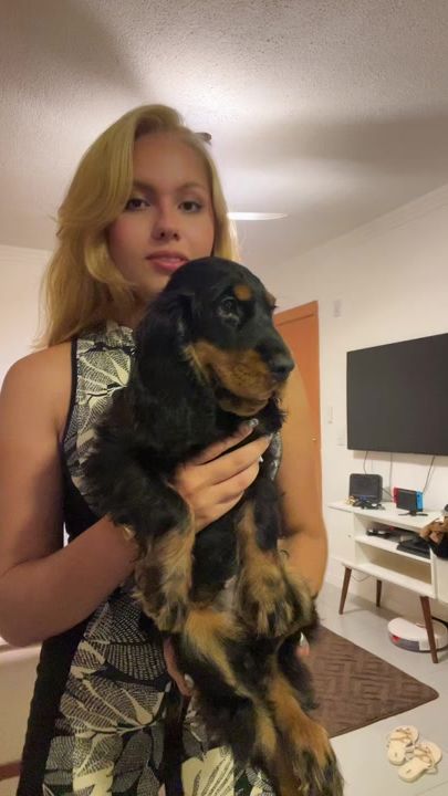 TikTok video thumbnail by the.daniiii