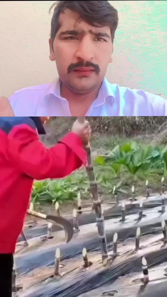 TikTok video thumbnail by sethbaba10