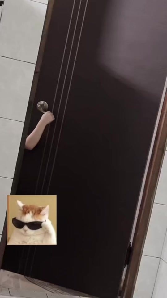 TikTok video thumbnail by 527bb