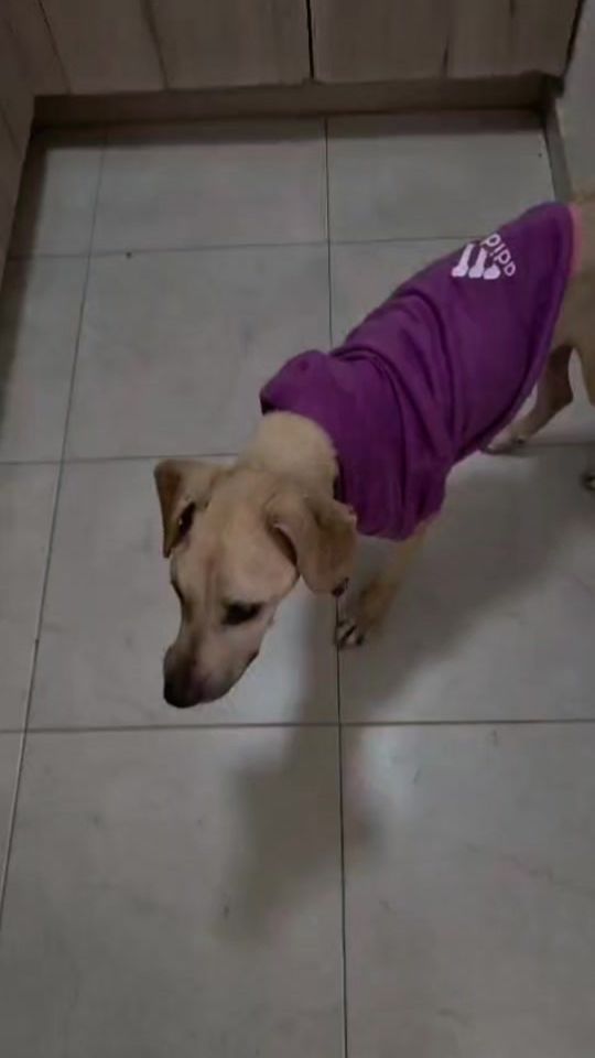 TikTok video thumbnail by rayito501