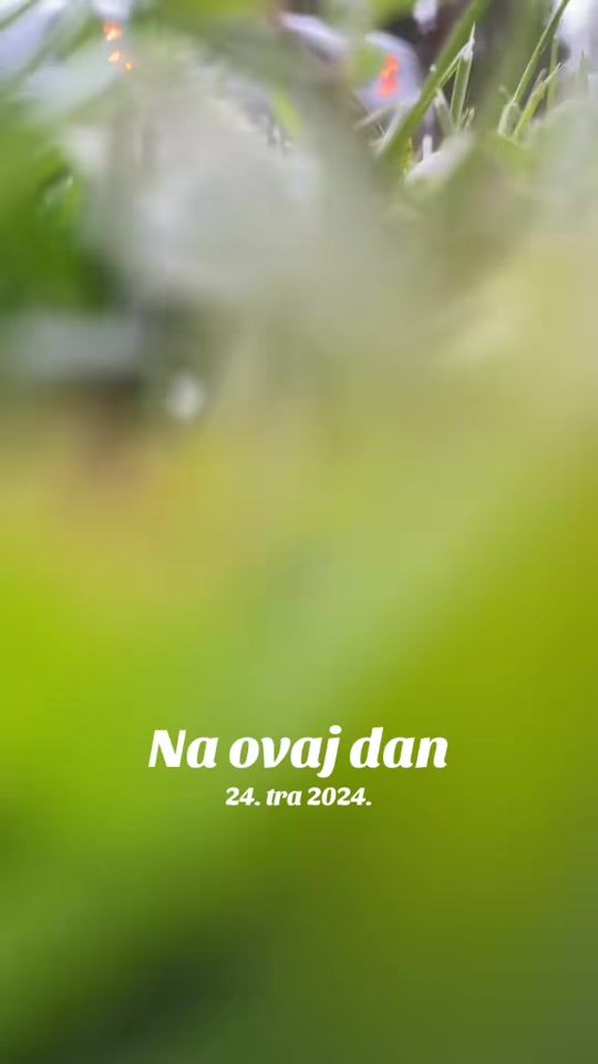 TikTok video thumbnail by elmin.gtd