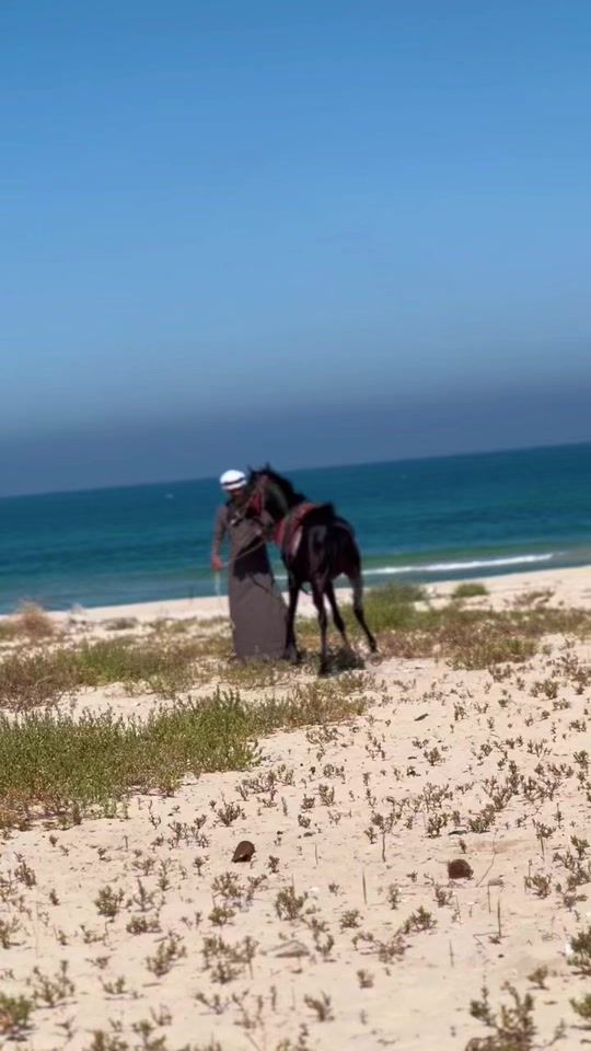 TikTok video thumbnail by abdel.madin