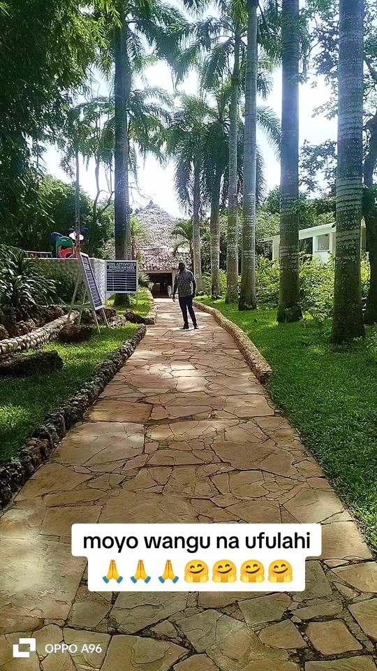 TikTok video thumbnail by robee6411