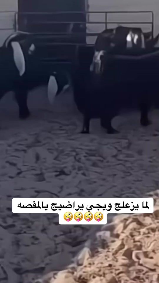 TikTok video thumbnail by a_3z_z