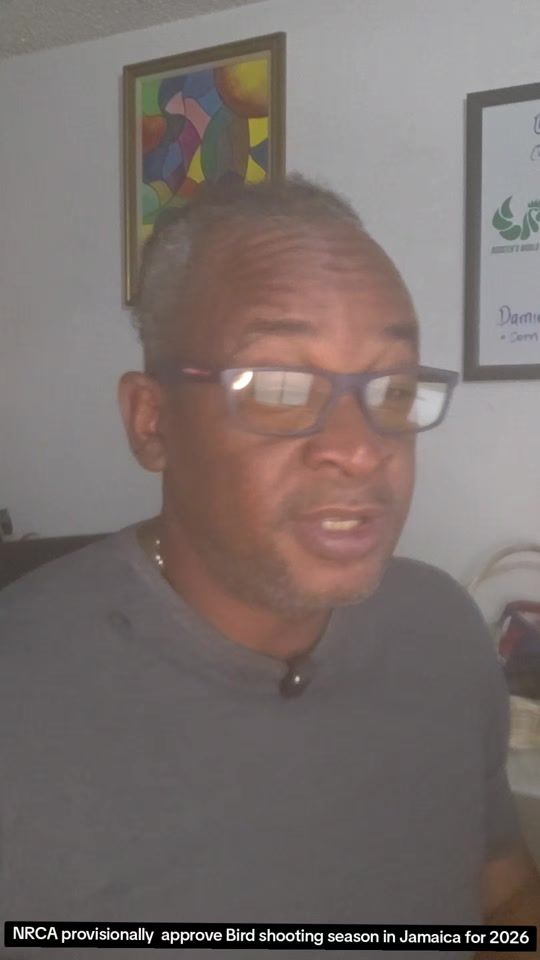 TikTok video thumbnail by roostersworldja