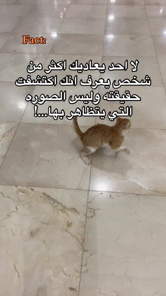 TikTok video thumbnail by twix846