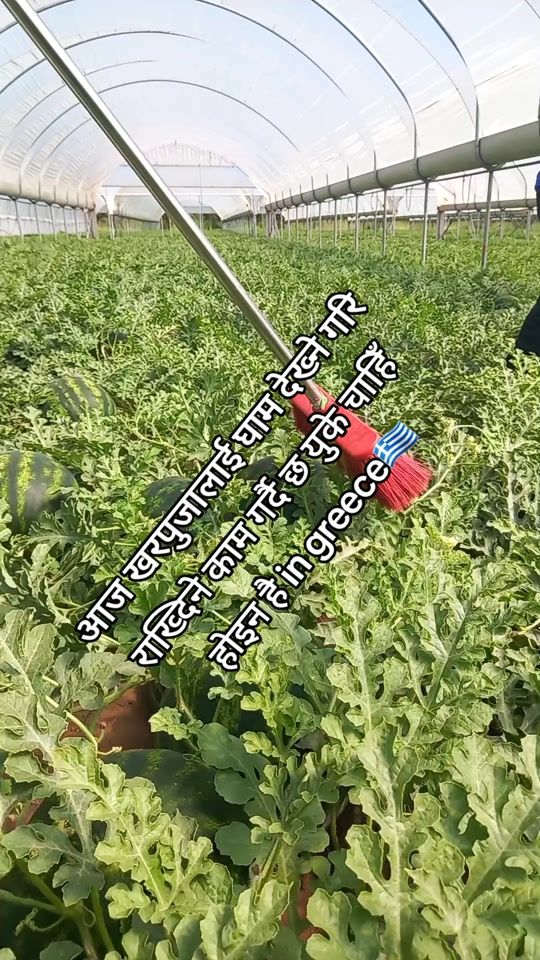 TikTok video thumbnail by prabeshgurung2024