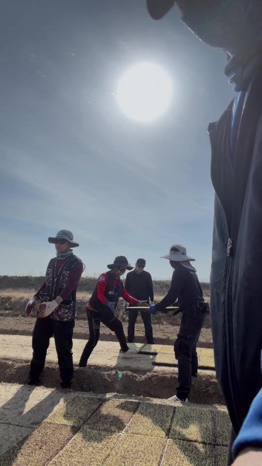 TikTok video thumbnail by folk_1996