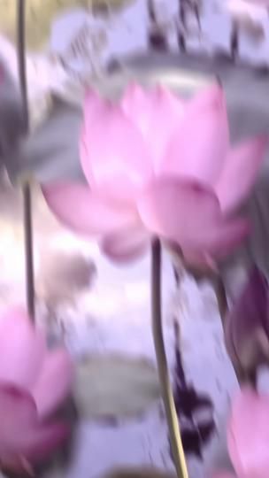 TikTok video thumbnail by melbourney0u