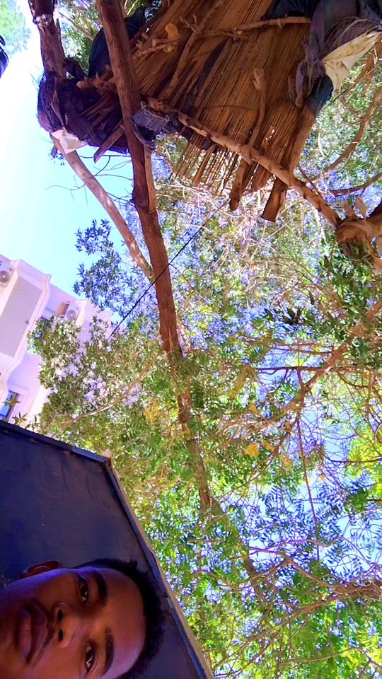 TikTok video thumbnail by user01656232