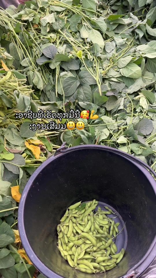 TikTok video thumbnail by 34fj4