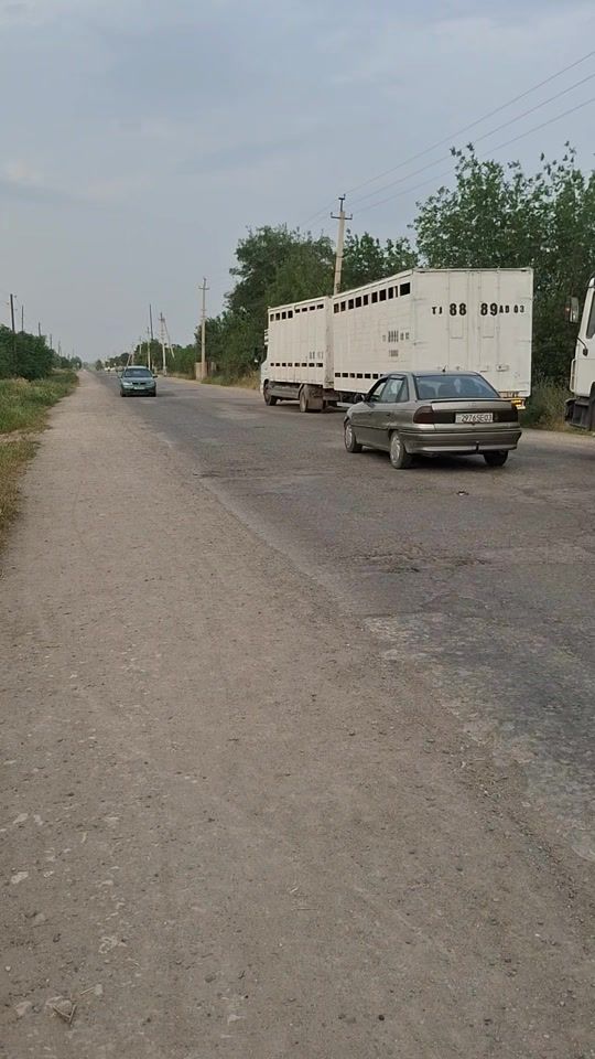 TikTok video thumbnail by user4959860955307