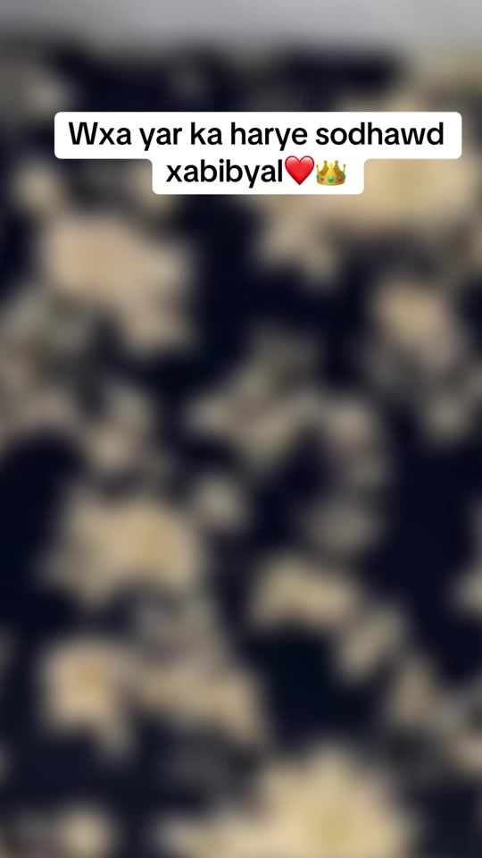 TikTok video thumbnail by ubahmo3
