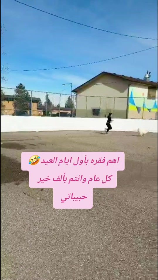 TikTok video thumbnail by nora_shaheen
