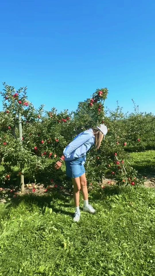 TikTok video thumbnail by nancybaker6