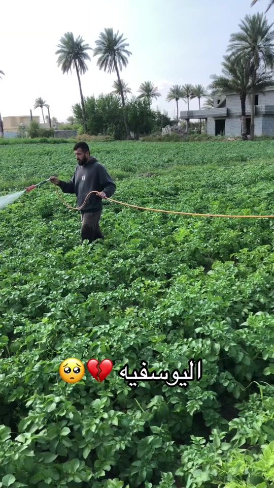 TikTok video thumbnail by aruup8